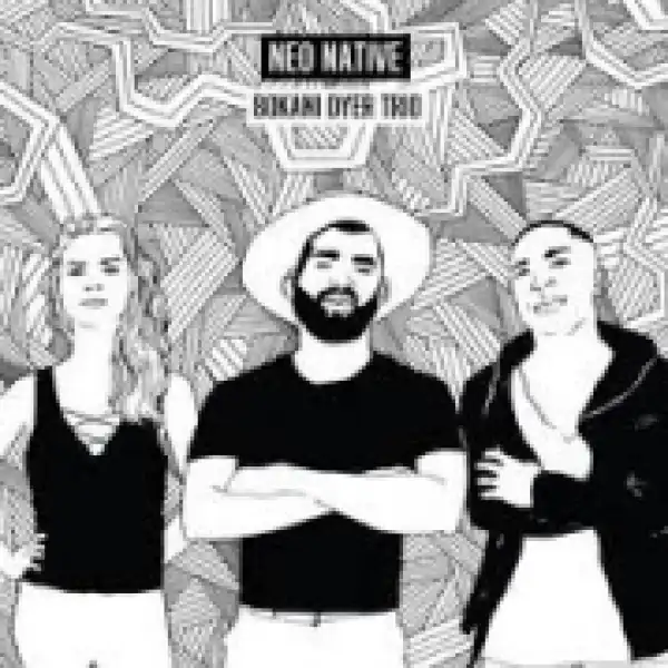 Bokani Dyer Trio - Light